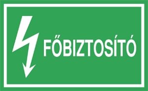 Főbiztosító